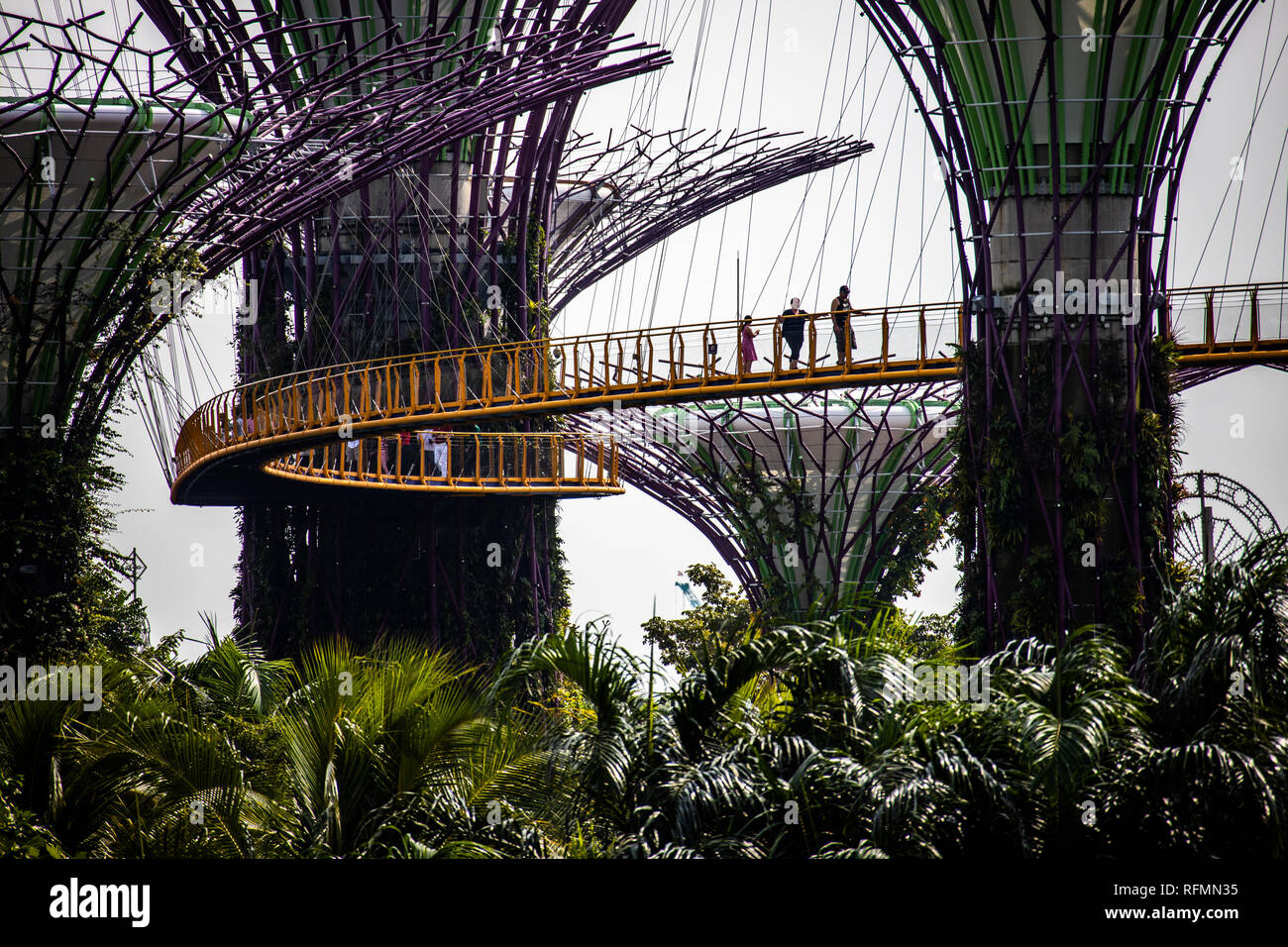 Touristen zu Fuß auf die ocbc Skyway durch die Supertree Grove, Gärten an der Bucht, Singapur Stockfoto