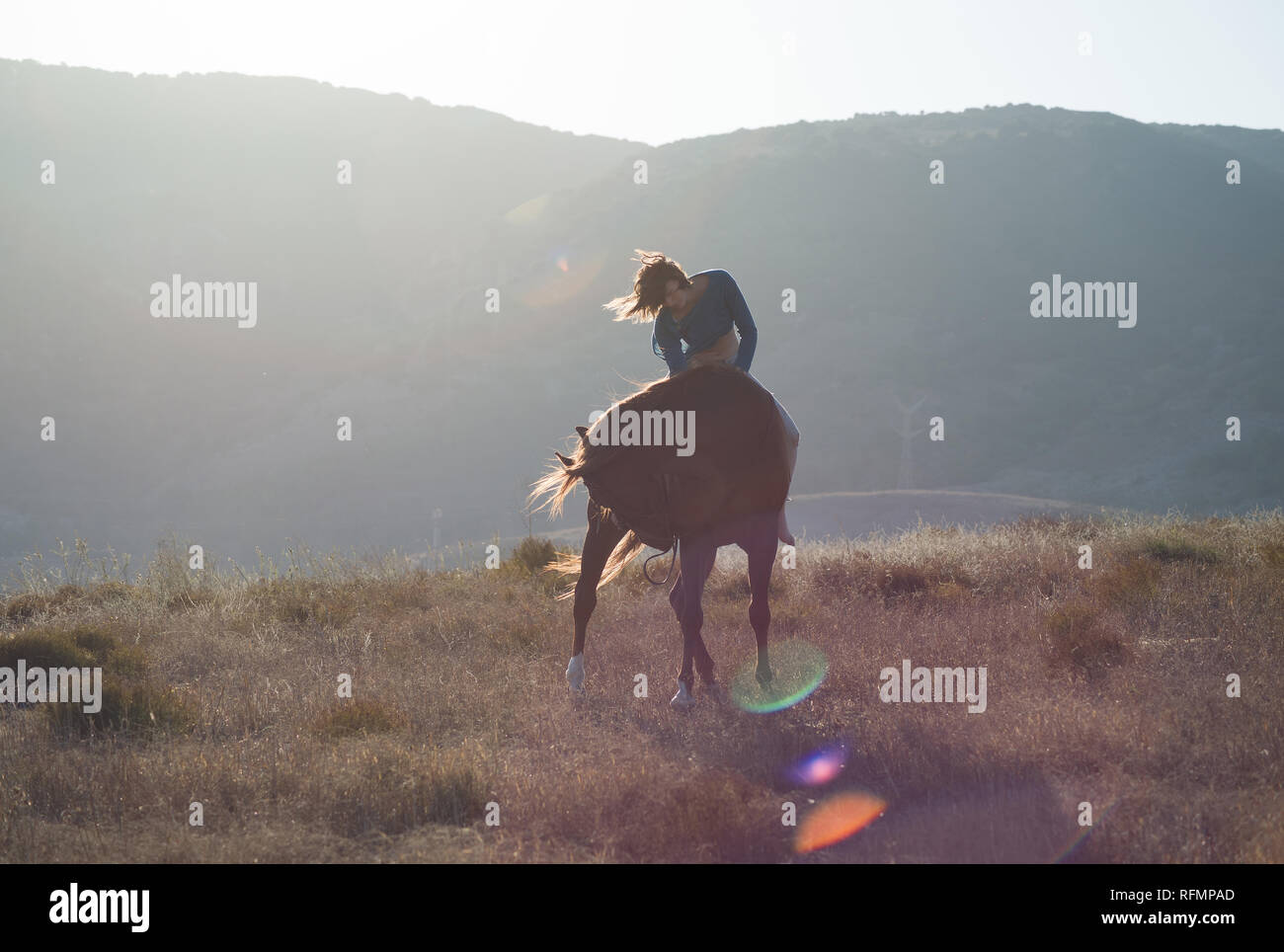 Ein Mädchen ein Pferd Reiten in einem Feld, harmonischen Körper und Haar Bewegung mit Lens Flare und ländliche Ansicht im Hintergrund Stockfoto