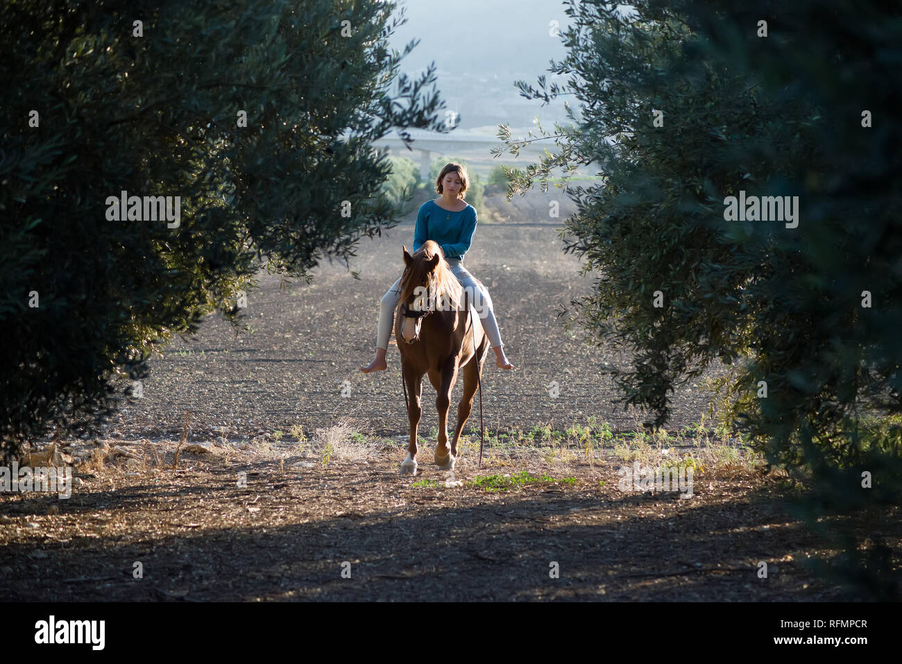 Junges Mädchen ein Pferd Reiten in zwischen zwei Olivenbäume mit Feldern im Hintergrund Stockfoto