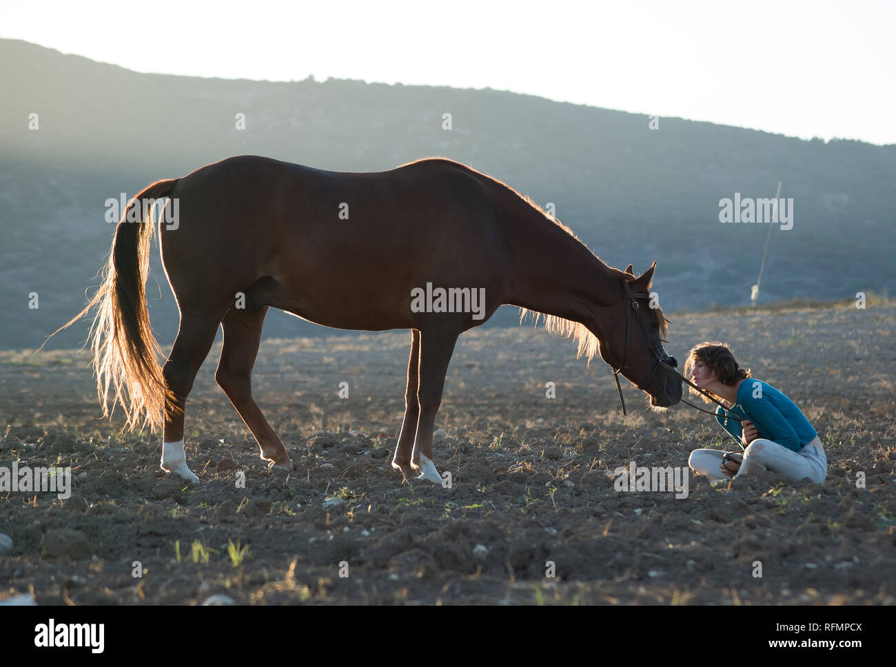 Junges Mädchen nach vorne Ihr Pferd zu küssen, während er auf dem Boden in einem Feld Stockfoto