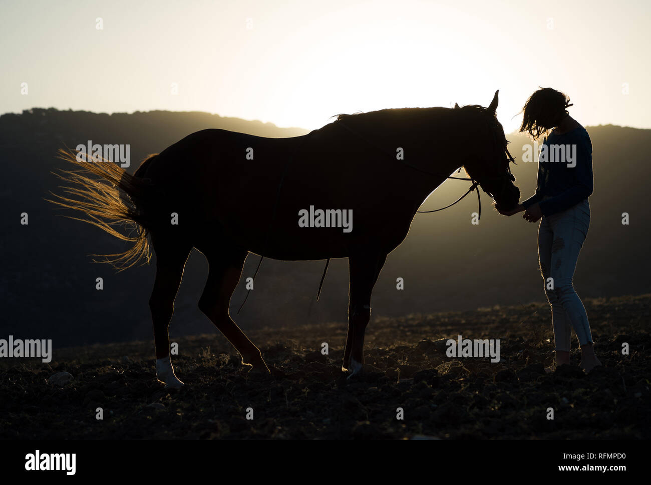 Eine Silhouette von Mädchen und ein Pferd bei Sonnenuntergang auf einem Feld mit einer ländlichen Hintergrund. Stockfoto