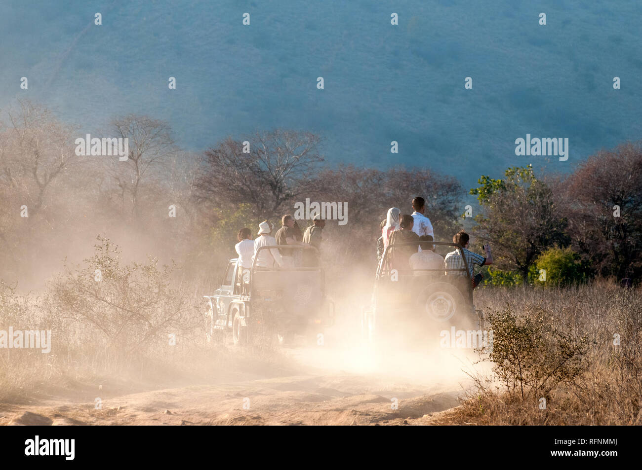 Safari im Ranthambore Nationalpark in Rajasthan, Indien Stockfoto