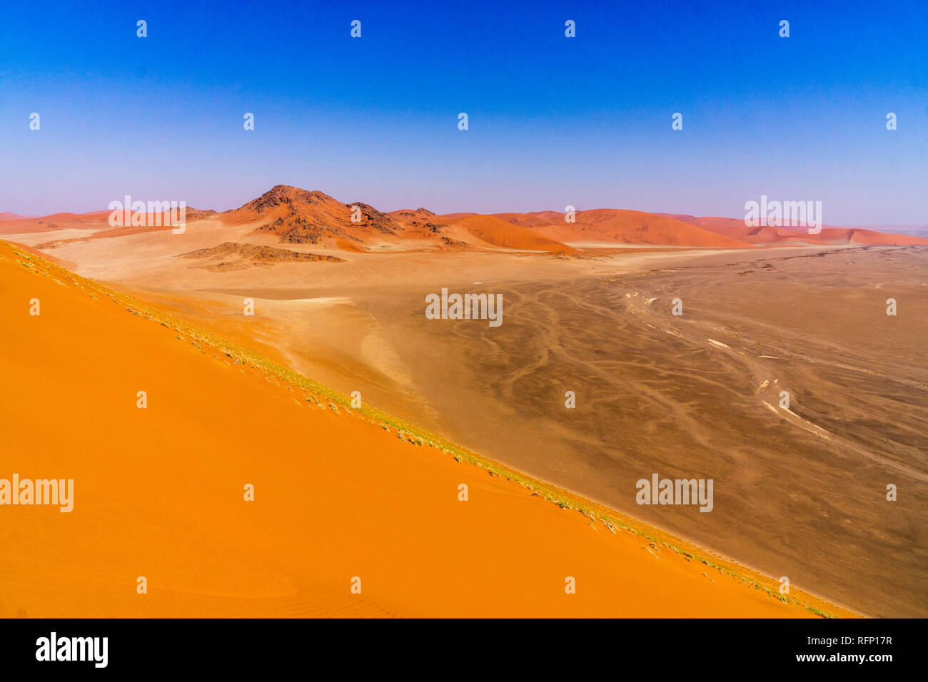 Big Daddy Großen Düne in der Namib Wüste im Sommer Stockfoto