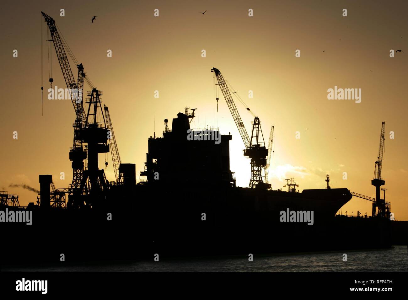 Ladekrane der Werften im Hafen, Hamburg, Deutschland Stockfoto