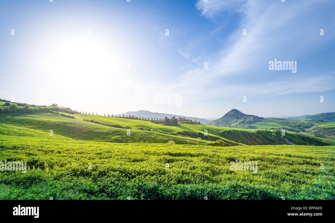 Direkte Sonneneinstrahlung auf den italienischen Felder. Toscano Provinz Landschaften. Stockfoto