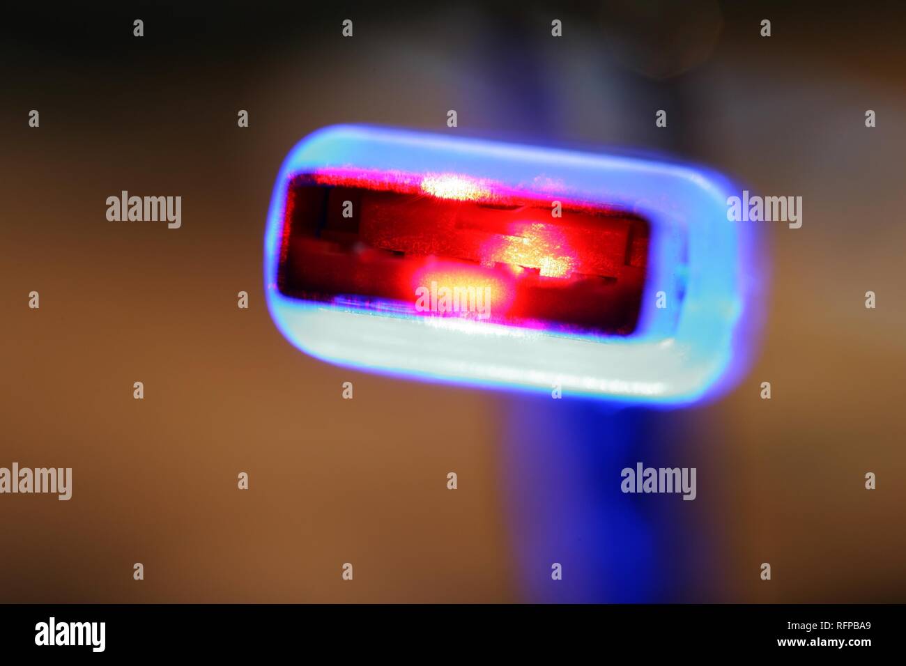 DEU, Deutschland: USB-Kabel, USB-Stecker an einen Computer. Higspeed USB 2.0-Verbindung. Stockfoto