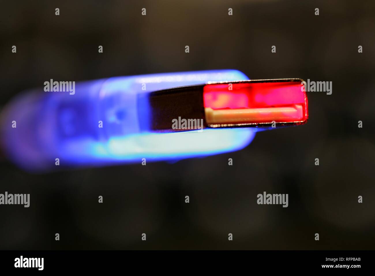 DEU, Deutschland: USB-Kabel, USB-Stecker an einen Computer. Higspeed USB 2.0-Verbindung. Stockfoto