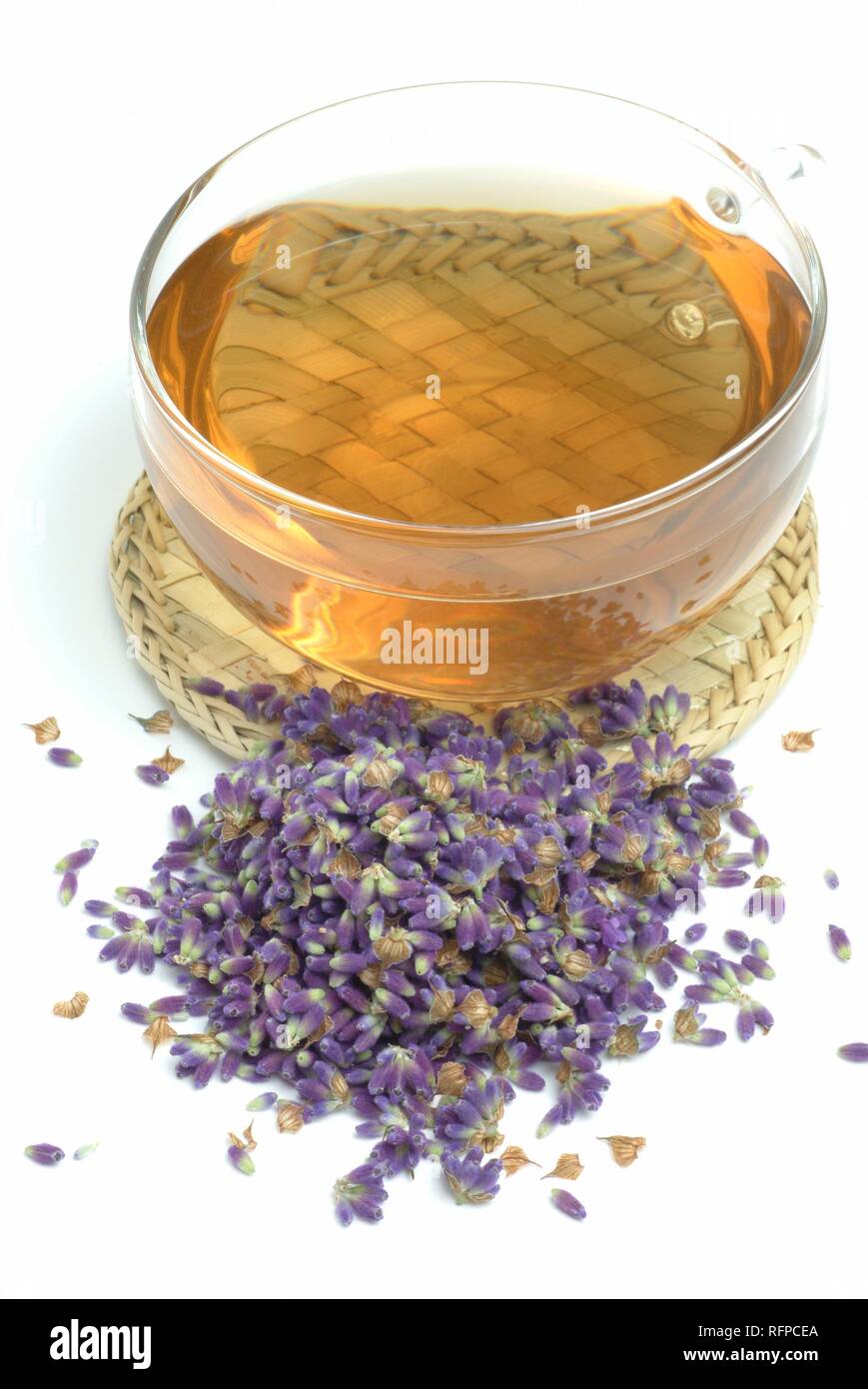 Kräutertee aus Lavendel Lavendula Officinalis, vulgaris, angustifolia Stockfoto