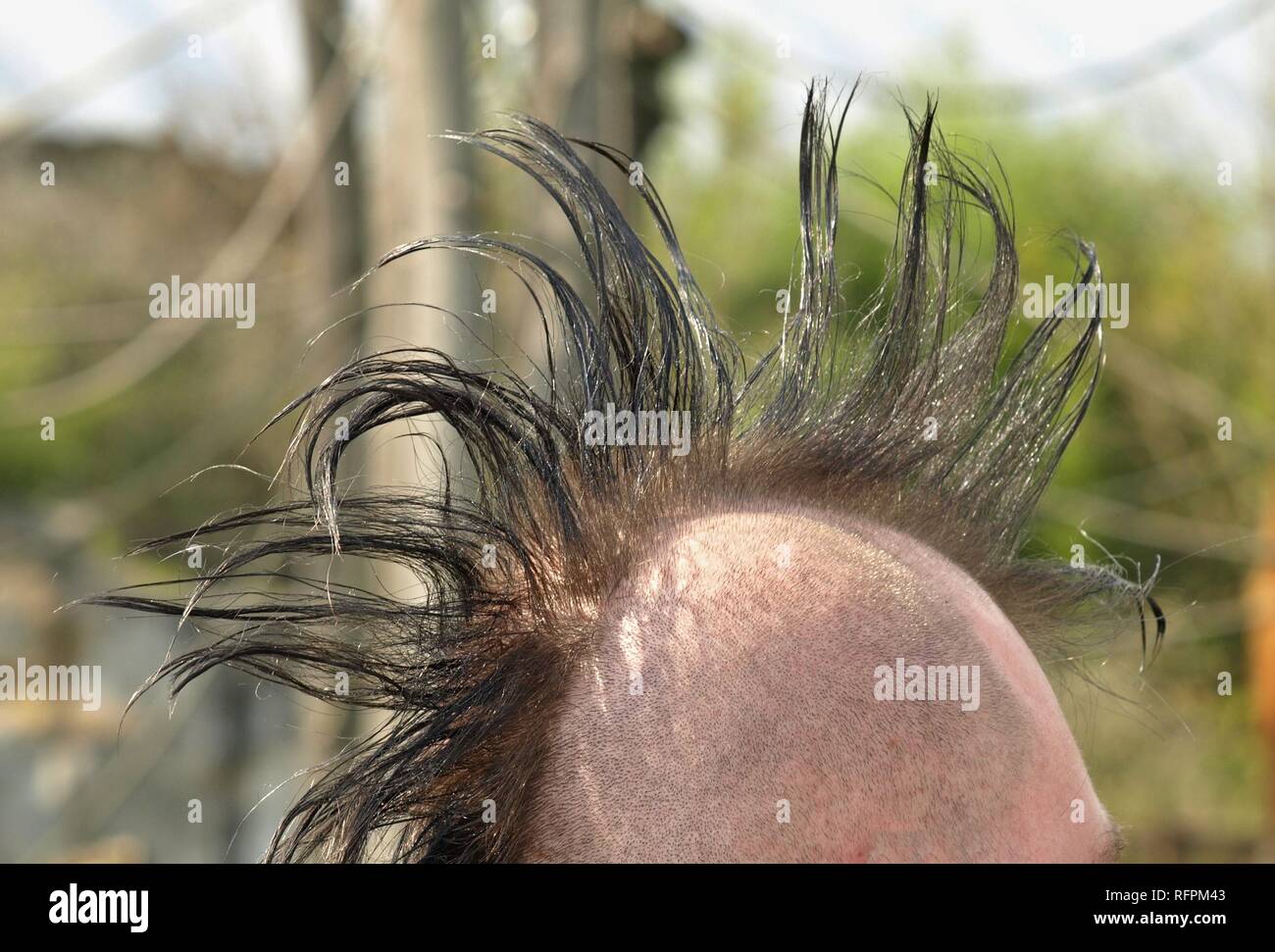 Frisur eines Punkers mit Glatze Stockfoto