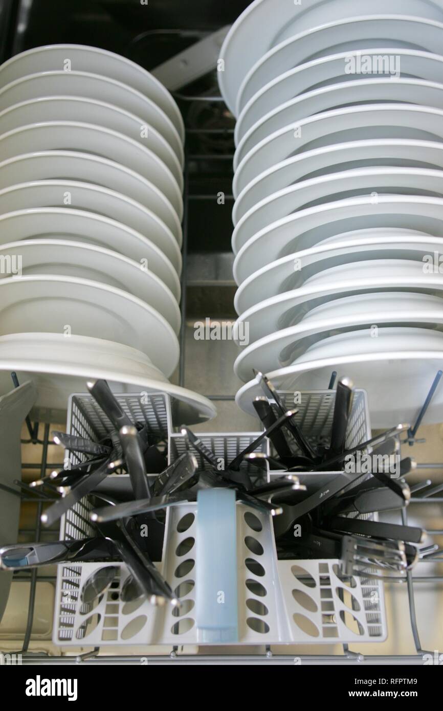 DEU, Deutschland: sauberes Geschirr in der Spülmaschine. Stockfoto
