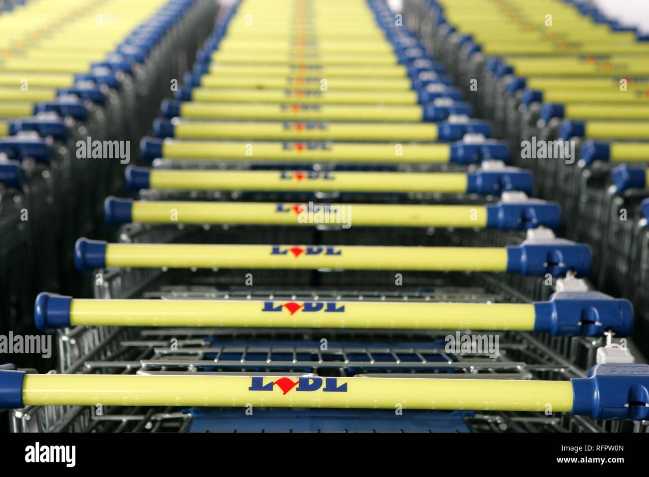 DEU, Deutschland, Dortmund: Einkaufswagen in einem Supermarkt der deutschen Discounter Lidl Gruppe. Stockfoto