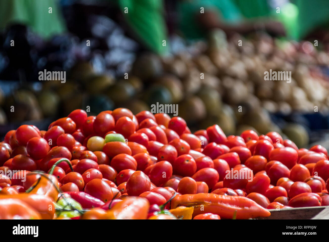 Eine schöne Auswahl von Tomaten auf einem Bauernmarkt in Santa Ana, Costa Rica. Auf dem Hintergrund einer Obststand isoliert. Stockfoto