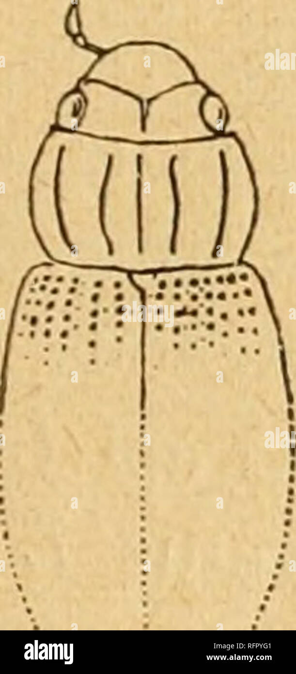 . Casopis Ceské spolecnosti entomologické = Acta Societatis