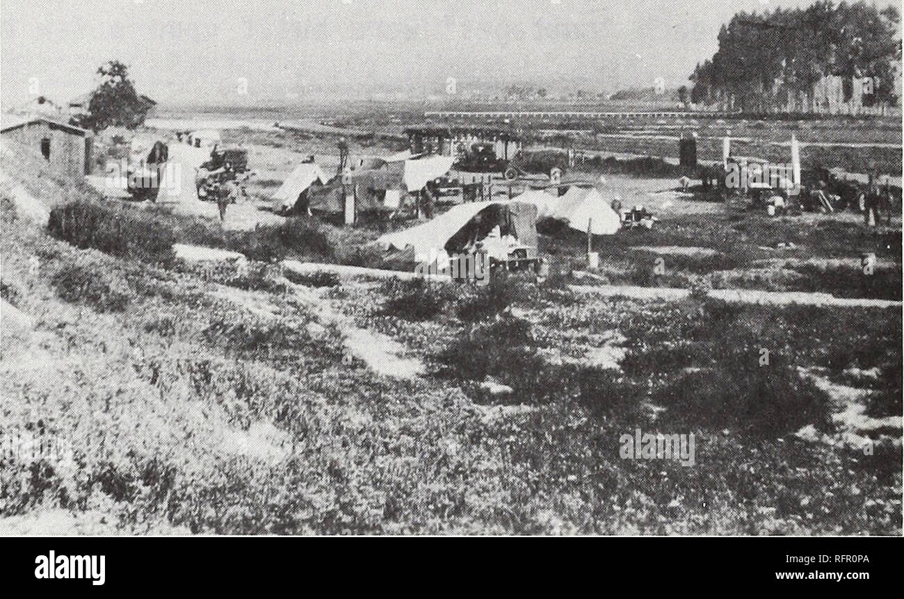 . Carpinteria Salt Marsh: Umwelt, Geschichte und botanische Ressourcen eines südlichen Kalifornien Mündung. Salzwiesen Ökologie; Salzwiesenpflanzen. Abb. 9a. CARPINTERIA SALT MARSH (Anfang 1900): Blick aus der Nähe von Fuß von Linden Avenue, Northwestward entlang Sanddünen und östlichen Arm auf die Flussmündung. Hinweis Strand Vegetation, Umfang der Mündung und den Standort der Lager in den Lebensräumen Übergangszeit zwischen Düne und Feuchtgebieten. Heute ist dieser Bereich durch den südlichen Teil der Stadt Carpinteria abgedeckt ist. Foto aus der Carpinteria Valley Museum der Geschichte. Â ¢^5***"""^ vtt & Amp; Â £ l&amp; * Stockfoto