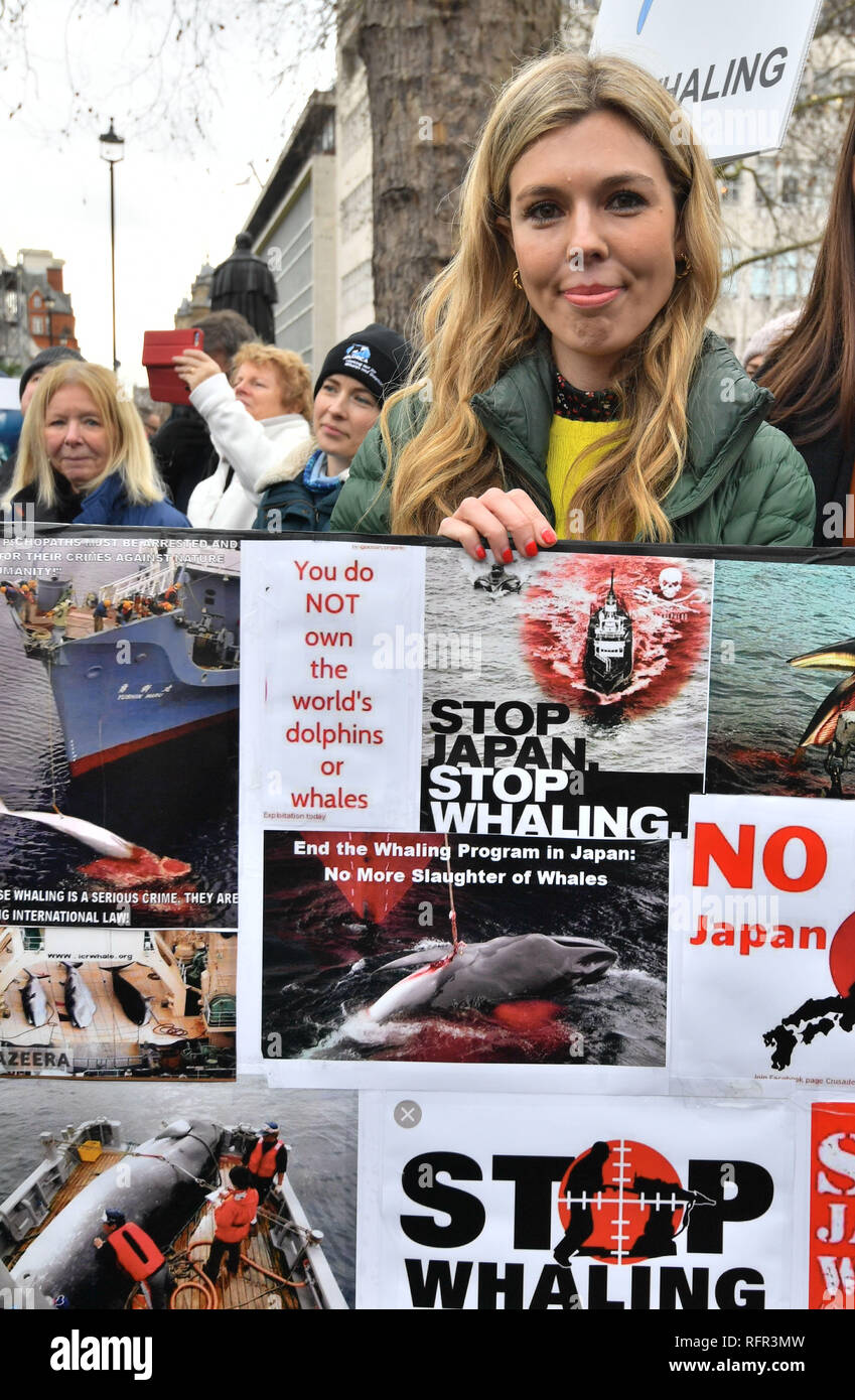 Aktivist Carrie Symonds nimmt teil an einer anti-whaling Protest vor der japanischen Botschaft in Central London. Stockfoto