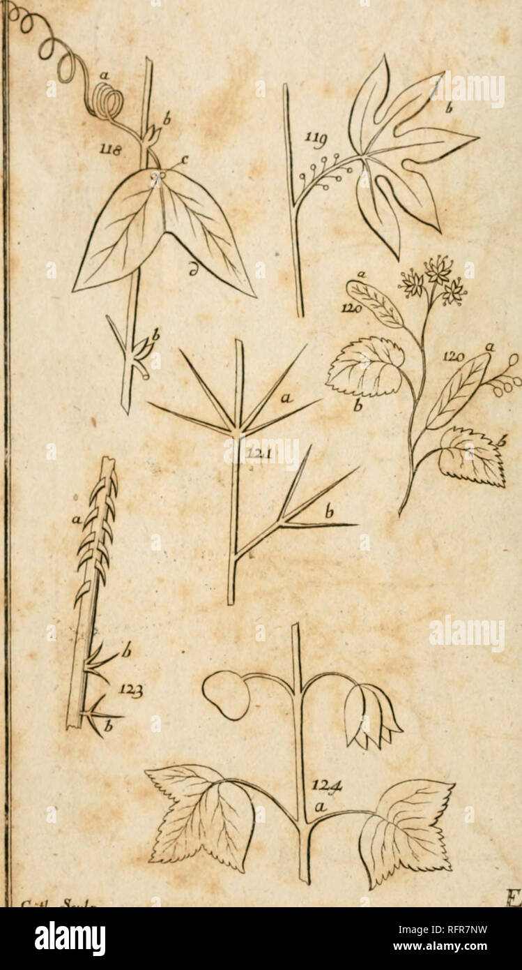 . Caroli Linnaei Archiatr. Vo Medic. Philosophia Botanica in qua