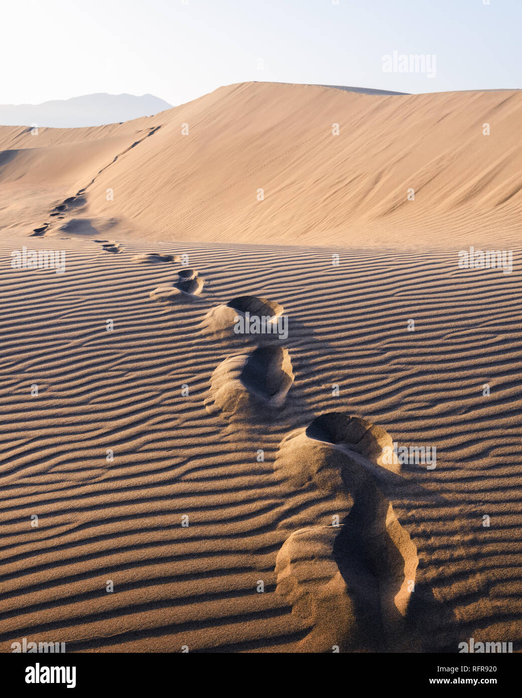 Fußabdrücke auf Sand in der Wüste Stretching in der Ferne. Heiße Landschaft mit Sanddünen gegen den klaren Himmel Stockfoto