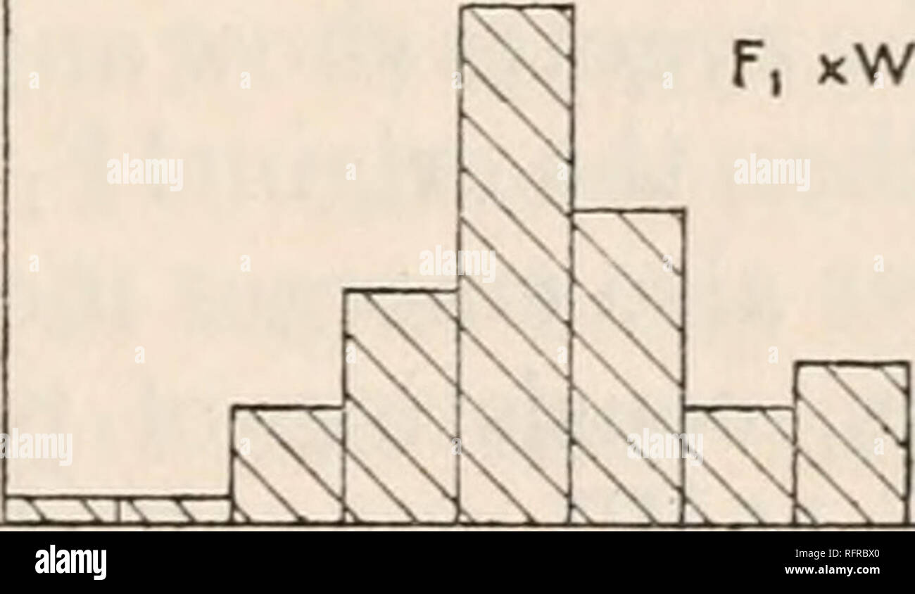 . Der Carnegie Institution in Washington Publikation. L Fi, DxT F, xT-F, xD F, xW. Grad 0 I 2 3 4 5 6 7 8 9 10 II 0 I 2 3 4 5 6 7 8 9 10 TEXT - Abbildung 5. 12 13 14 - 15 16 17 mit weißen; (c) tan United mit Weiß; und (d) selbst (weder dunkel noch Tan) United mit Weiß. Die beobachteten modal Werte dieser vier Arten von Kombinationen sind bzw., in bezug auf die Sorten: (a) 16. Bitte beachten Sie, dass diese Bilder sind von der gescannten Seite Bilder, die digital für die Lesbarkeit verbessert haben mögen - Färbung und Aussehen dieser Abbildungen können nicht perfekt dem Original ähneln. extrahiert. Carnegie ICH Stockfoto