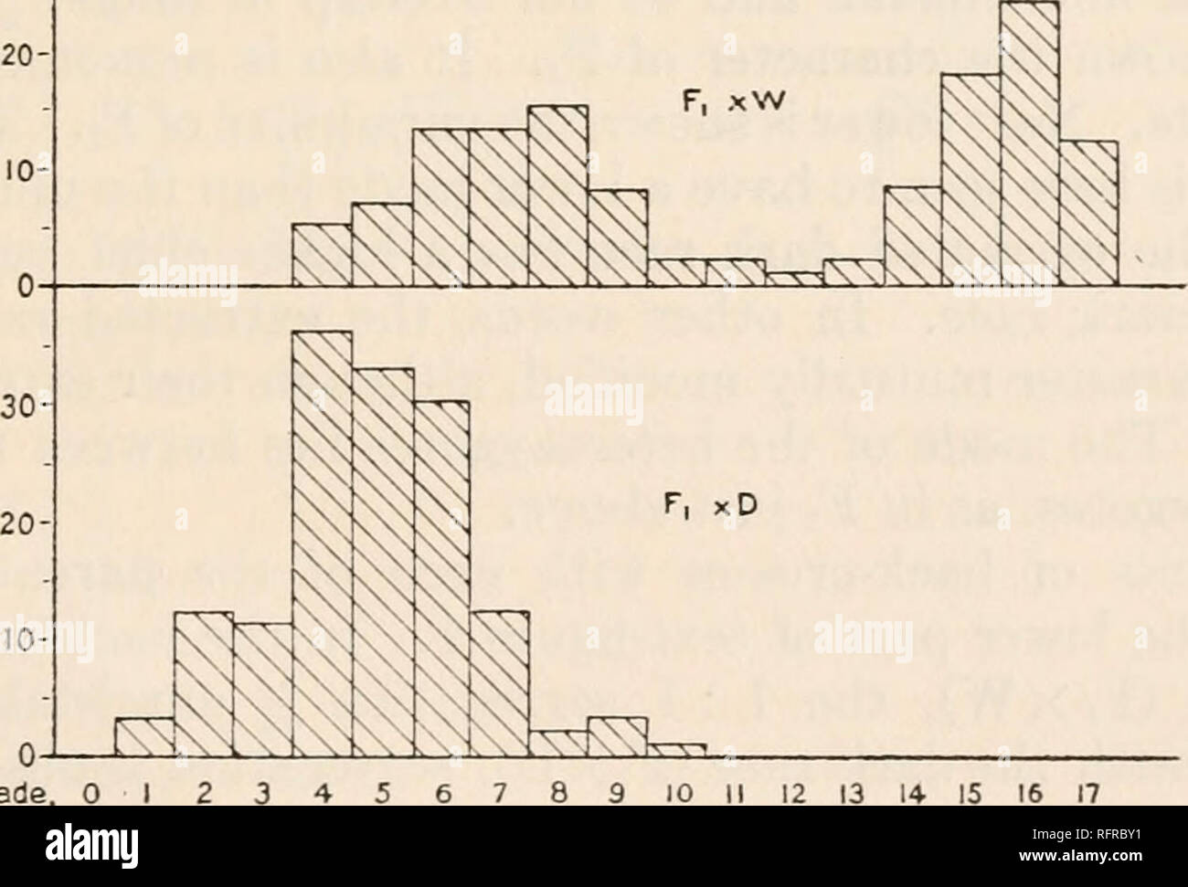 . Der Carnegie Institution in Washington Publikation. W F,, DxW F,, DxW •. Klasse, 0 I 4 5 7 8 9 10 II 12 13 14 16 17 TEXT - Abbildung 1. Heterozygote wie der Junge in Tabelle 22 ausgewiesen. Die mittlere Stufe ist sehr ähnlich, 7.04 gegenüber 7.28. Letztere sind offensichtlich homozy - gous weiss wie der Junge von Tabelle 19. Sie haben eine ähnliche aber etwas geringere Qualität, viz, 15.56 So gegen 16.25. Dieses Ergebnis zeigt eine 1:1 Trennung von weißen und dunklen Holländischen und folglich Weiß und Dunkel sind allelomorphs. Wenn ja, eine F2-Generation sollte ein 3:1 Segregation zeigen. Zu diesem Punkt können wir summariz Test Stockfoto