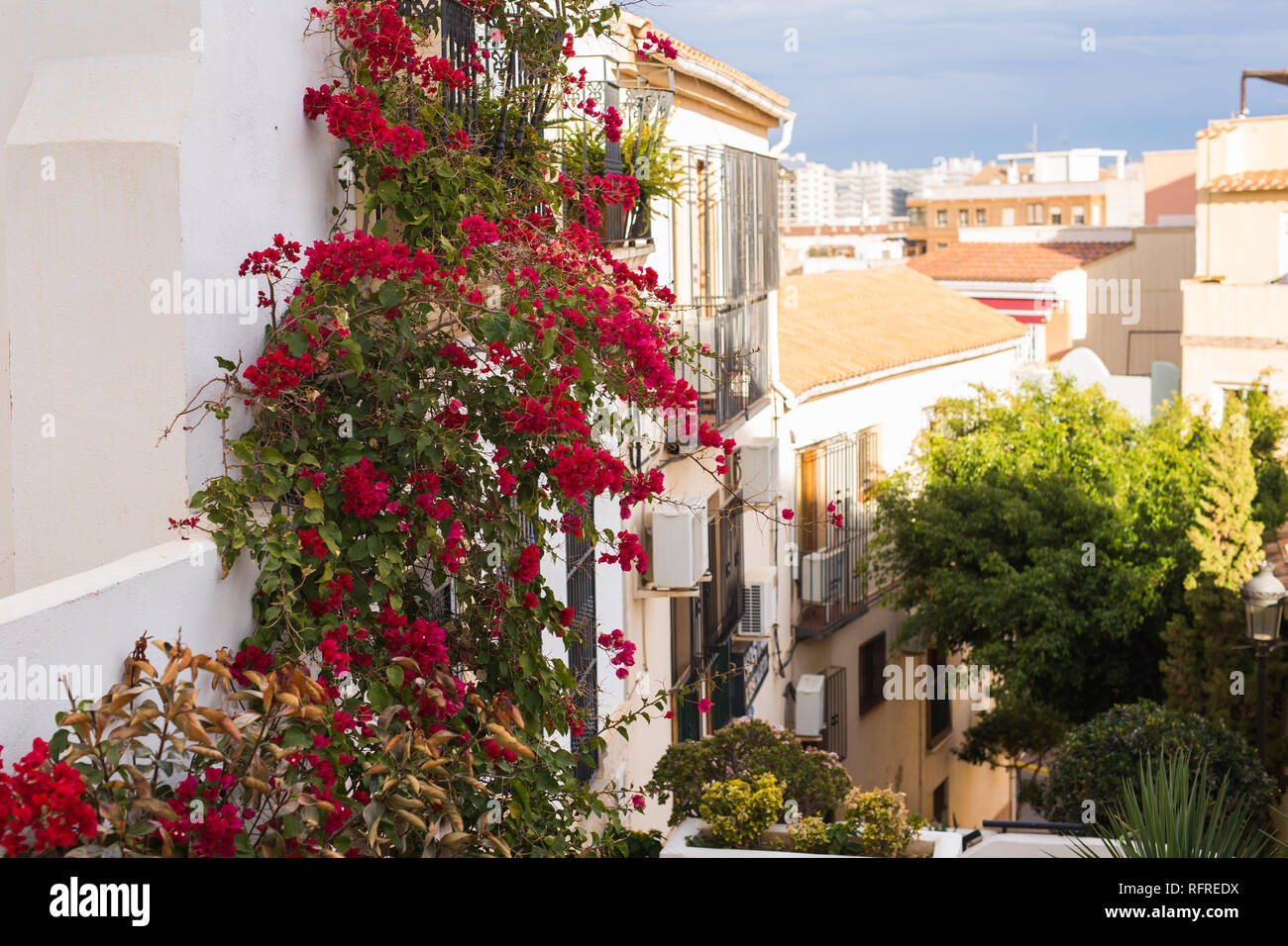 Design, Architektur und außen Konzept - Spanien Architektur. Blühende Efeu mit roten Blumen auf einer Hauswand. Stockfoto