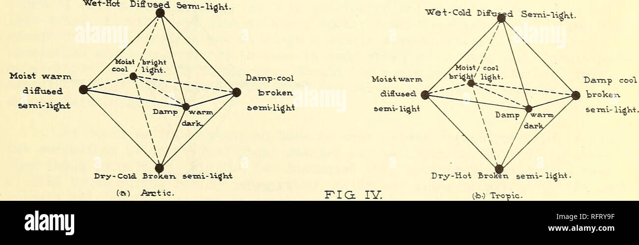 . Der Karibik Förster. Die Wälder und die Forstwirtschaft Karibik Zeitschriften; die Wälder und die Forstwirtschaft Tropen Zeitschriften. . Bitte beachten Sie, dass diese Bilder sind von der gescannten Seite Bilder, die digital für die Lesbarkeit verbessert haben mögen - Färbung und Aussehen dieser Abbildungen können nicht perfekt dem Original ähneln. extrahiert. Southern Forest Experiment Station (New Orleans, La.). Rio Piedras, P.R.: Tropical Forest Experiment Station, United States Forest Service Stockfoto