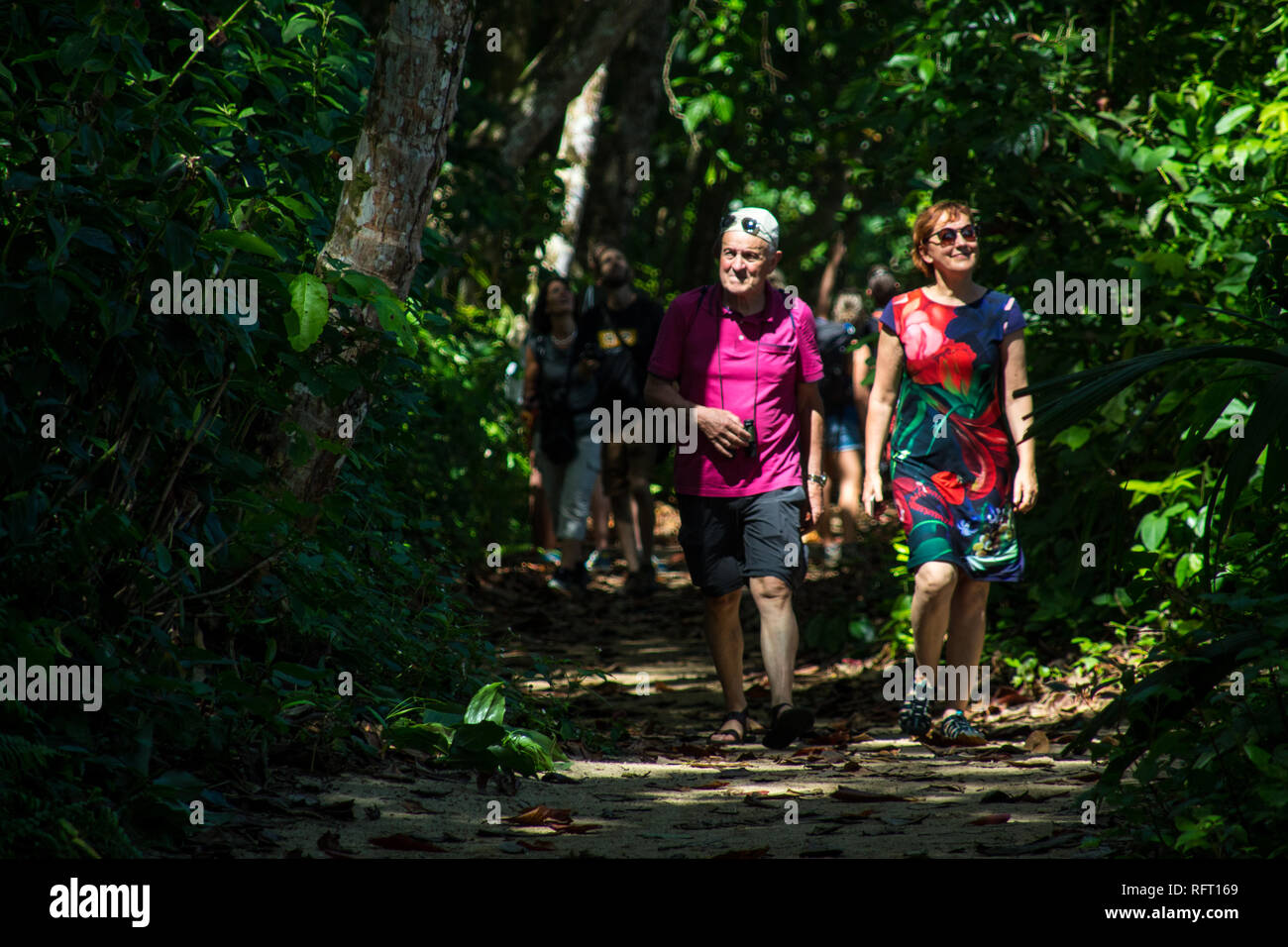 Ein Foto von einem Mann und einer Frau, die zu Fuß auf einem schönen Wanderweg der Cahuita Nationalpark an der karibischen Küste von Costa Rica. Stockfoto