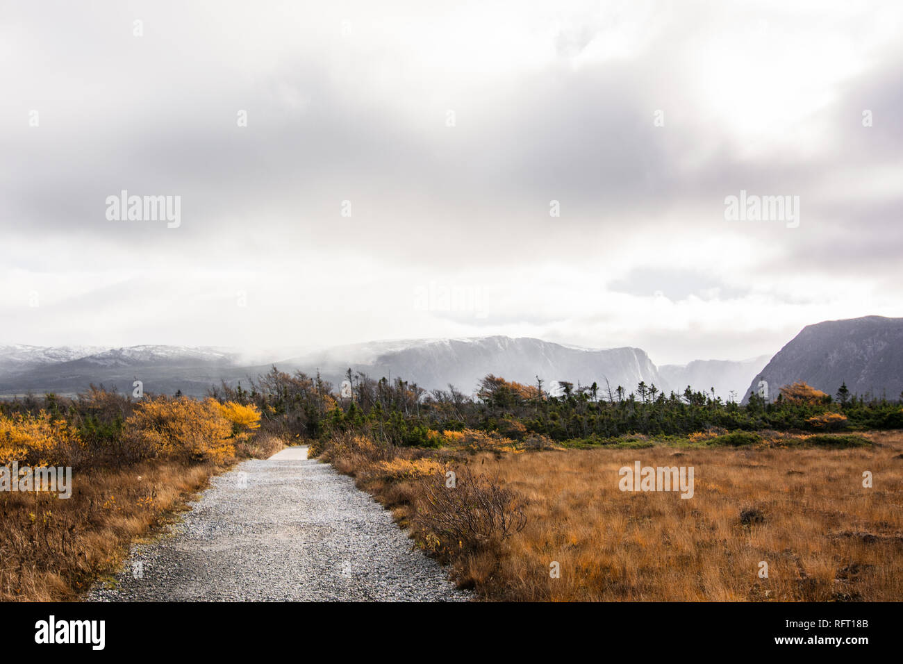 Durch goldene Gräser mit Bergen in der Ferne im Gros Morne National Park, Neufundland, Kanada Trail Stockfoto