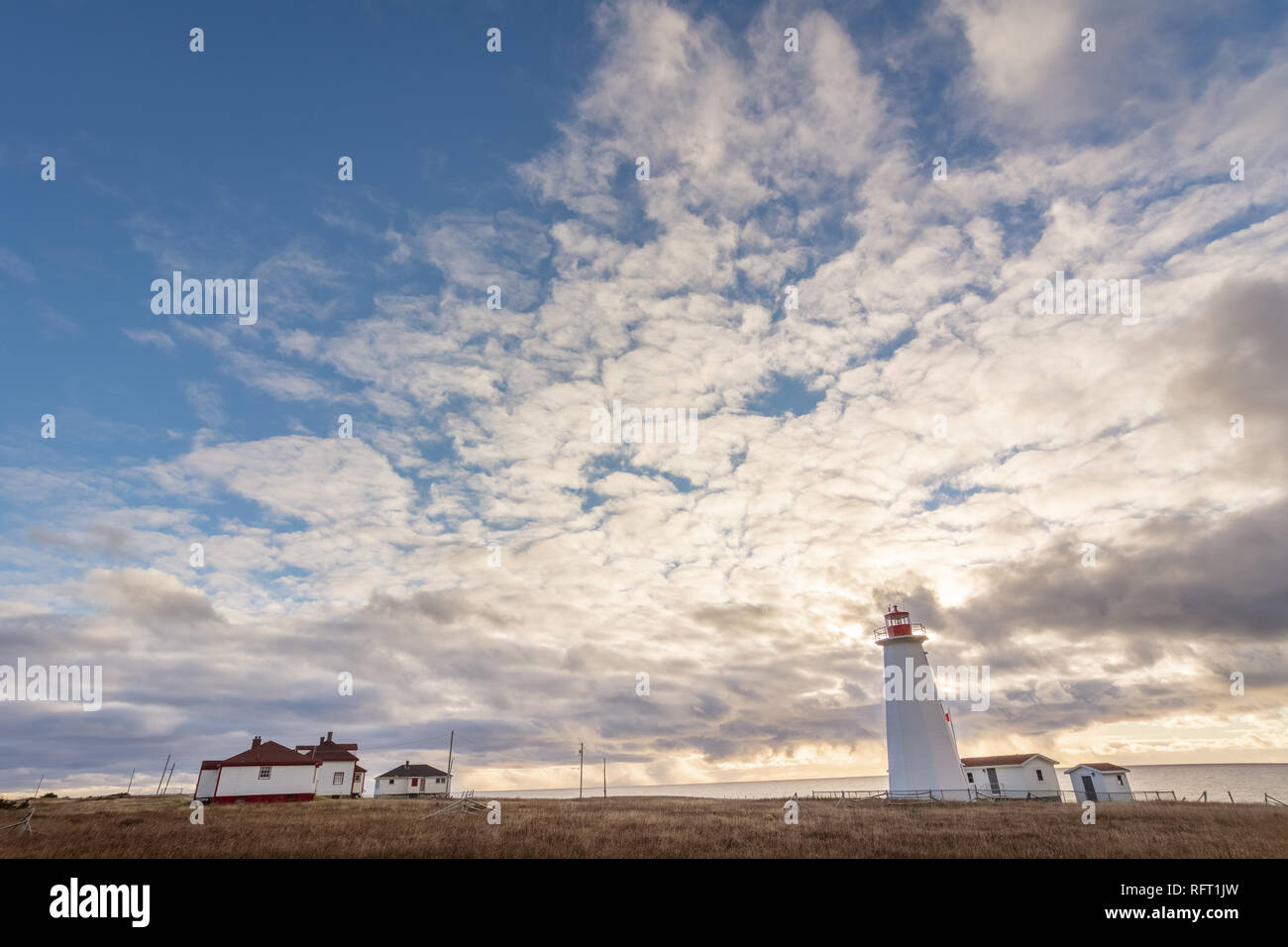 Leuchtturm in Neufundland, Kanada mit goldenen Gräser im Vordergrund, und stürmischen Sonnenuntergang und blauen Himmel im Hintergrund Stockfoto