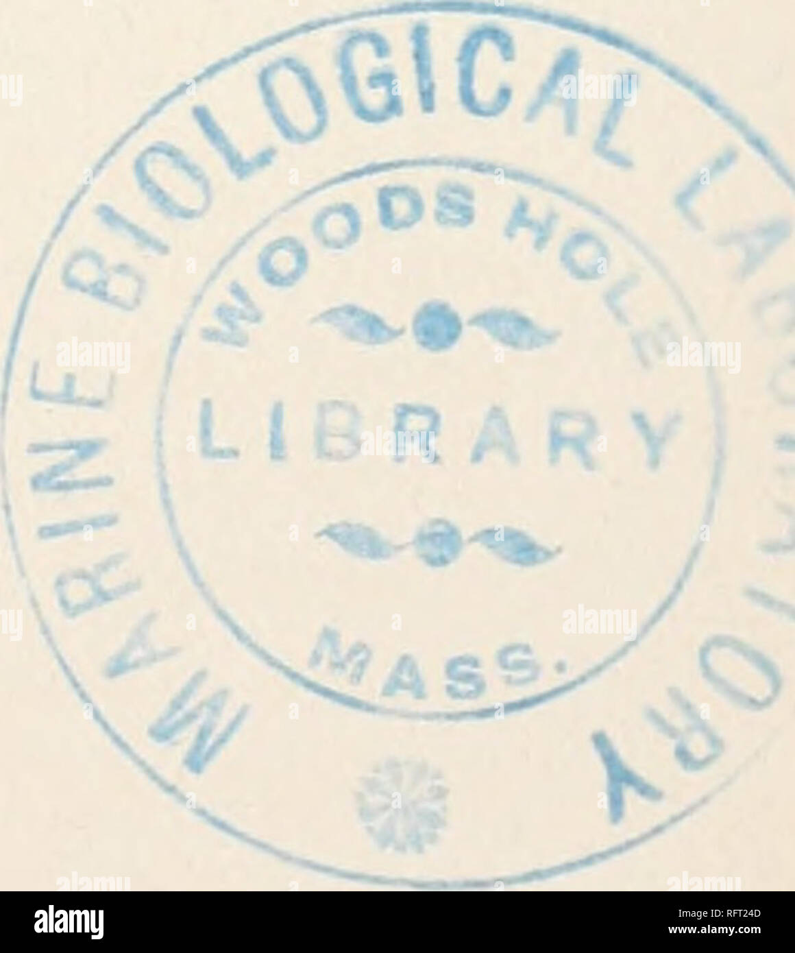 . Der Carnegie Institution in Washington Publikation. Literatur zitiert. 65 XIV. Literatur zitiert. COCKERELL, T. D.A., 1903. Der Colorado Gummibaumes. Bull. Colo Coll. Mus. 1:1. COCKERELL, W. S. 1904. Hinweis auf ein Werk für die Herstellung von Kautschuk. Wissenschaft, II, 19: 314. Koch, O.F.1903. Kultur der zentralen amerikanischen Gummibaum. Us Dept. Agr. Büro der Anlage der Industrie - Bull. 49. DODGE, C.R.1897. Beschreibender Katalog der nützlichen Fibre Pflanzen der Welt. Us Dept. Agr. Fibre Investig. Rept. 9. DUNSTAN, W.R. 1910. Editorial Im Imp. Inst. Bull. 8:48. Fox, C. S. 1911. Ohio - gewachsen aus Gummi, Ernte von 1910. Ohi Stockfoto