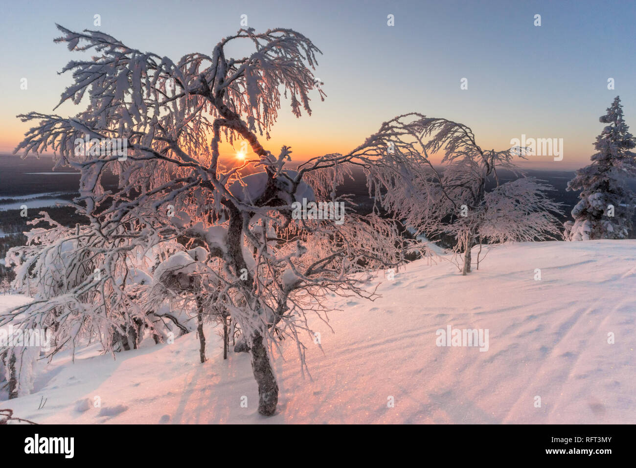 Sonnenaufgang mit Schnee bedeckten gefrorenen Bäume im finnischen Lappland. Bild wurde in Pyha, Finnland. Stockfoto