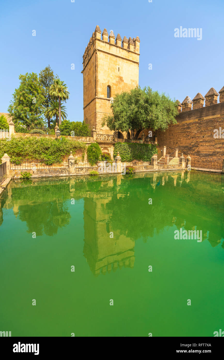 Torre de los Leones (Turm der Lions) in einem Pool wider, der Alcazar de los Reyes Cristianos, Cordoba, UNESCO-Weltkulturerbe, Andalusien, Spanien Stockfoto