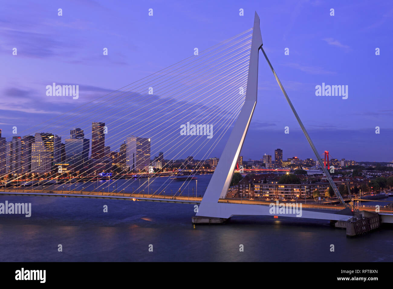Erasmus Brücke, Rotterdam, Niederlande, Europa Stockfoto