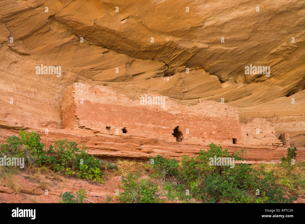16 Zimmer Haus Anasazi Ruinen, uralten Pueblo, Navajo Reservation, in der Nähe von Bluff, Utah, Vereinigte Staaten von Amerika, Nordamerika Stockfoto