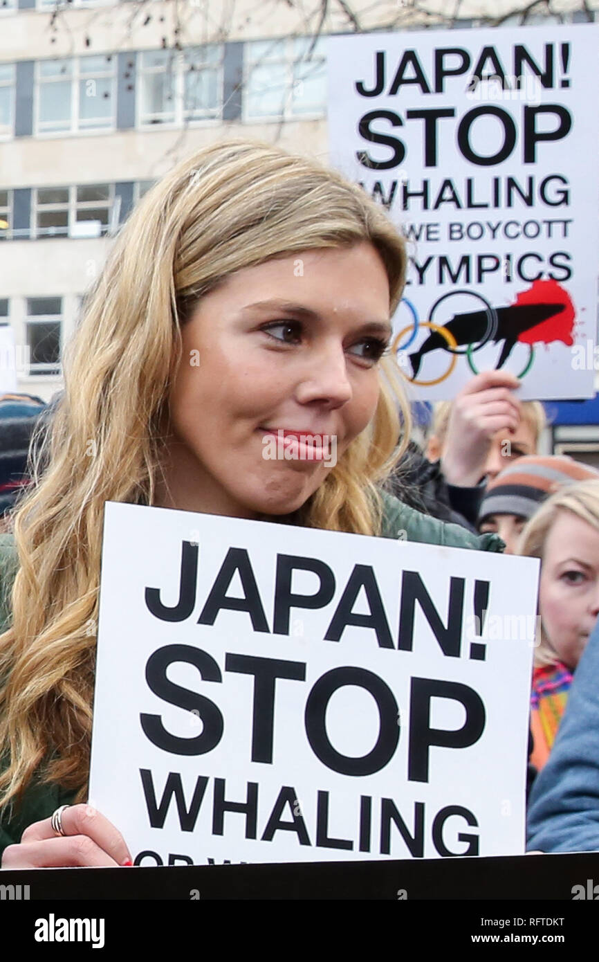 London, UK, 26. Jan 2019 - der ehemalige Außenminister Boris Johnson's Freundin Carrie an der Protest gegen den japanischen Walfang Demonstration in London Symonds. Credit: Dinendra Haria/Alamy leben Nachrichten Stockfoto