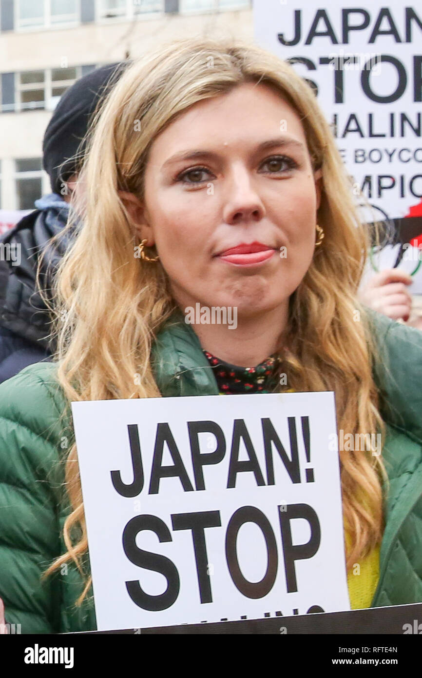 London, Großbritannien. 26. Januar, 2019. Der ehemalige Außenminister Boris Johnson's Freundin Carrie Symonds gesehen wird, halten Sie eine Plakette während des Protestes gegen den japanischen Walfang in Central London. Credit: Dinendra Haria/SOPA Images/ZUMA Draht/Alamy leben Nachrichten Stockfoto