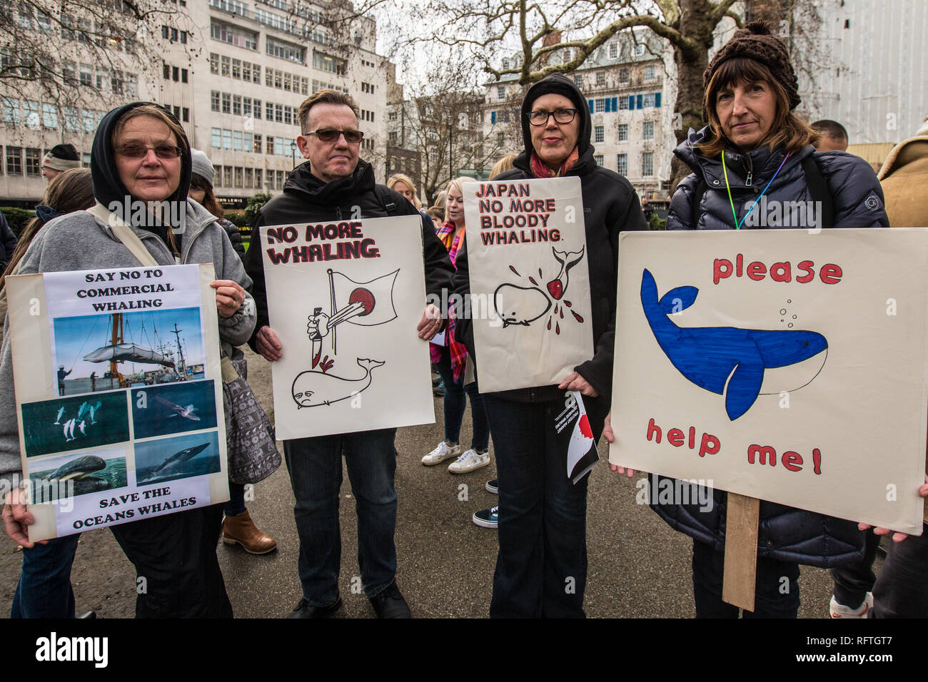 London, Großbritannien. 26. Januar, 2019. Die Demonstranten marschierten durch London vor der Vorführung in der Japanischen Botschaft nach Japan angekündigt, den kommerziellen Walfang wieder aufgenommen werden. David Rowe/Alamy Leben Nachrichten. Stockfoto
