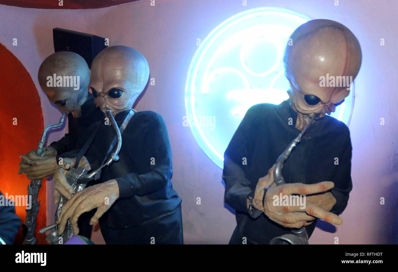 Januar 26, 2019 - 26. Januar 2019 (Madrid) Das Wachsfigurenkabinett von Madrid mit einem Rundgang durch die beliebteste Spanische und internationale Zeichen, Protagonisten der Geschichte, Kultur, Sport, Wissenschaft und Unterhaltung mit mehr als 500 Abbildungen. Skulpturen von Persönlichkeiten wie Fußballspieler und Werbung Symbol Cristiano Ronaldo, World Pop Idol Justin Bieber, Donald Trump und seine Frau Melania, Javier FernÃ¡Méndez der Ice skater zweimal Meister der Welt, der Wissenschaftler Margarita Salas, der mythischen Akteure des Horror Genres wie Jack Taylor und Paul Naschy (Spanisch als Werwolf), der bullf Stockfoto