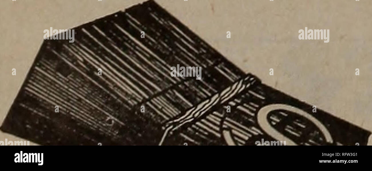 . Kanadische Forstindustrie Juli-Dezember 1922. Holzschlag; Wälder und Forstwirtschaft; Wald; Wald - zellstoffindustrie; Holz verarbeitenden Industrien. Das Leben eines British Columbia Red Cedar Schindeldach Kann fast durch das Leben der Nagel, mit denen die Schindel in Platz genagelt ist, beurteilt werden. Ausgehend von den verfügbaren Daten, die durchschnittliche Lebensdauer der gewöhnlichen Stahl Draht, Nägel, die in solchen gemeinsamen verwendet wurde, ist nur von sieben bis zwölf Jahren. Einige Kabel Nägel werden länger, je nach Zustand der Exposition, Klima und ähnliche Funktionen, aber unser Klima als Ganzes, am Ende von s Stockfoto