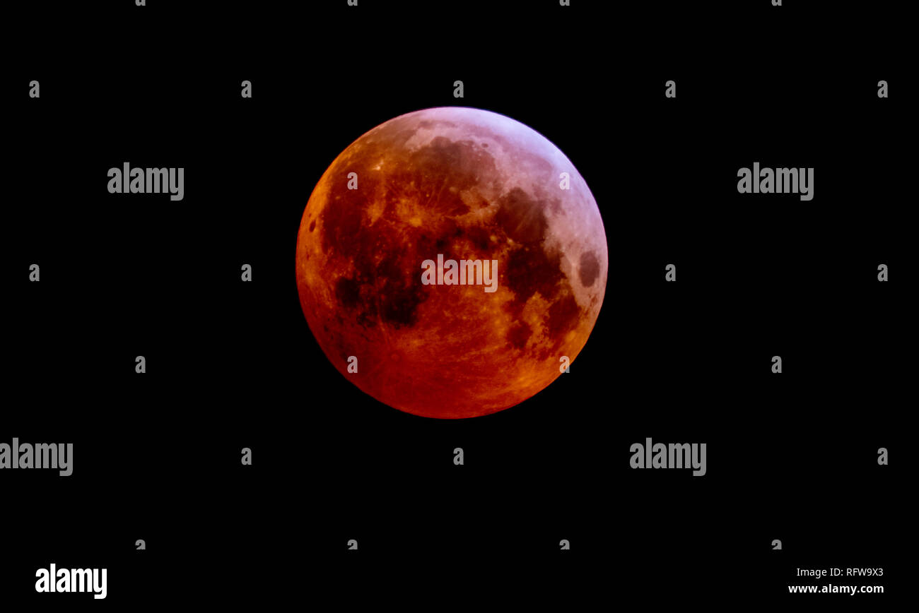 Foto der super Blut wolf mond Am 21. Januar 2019 getroffen Stockfoto