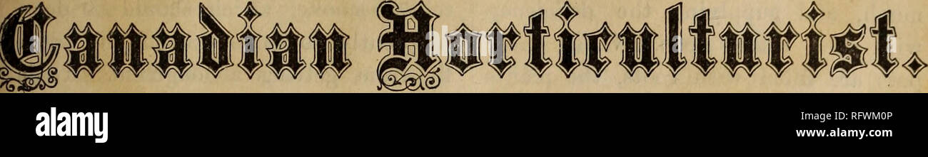 . Die kanadische Gärtner. Fruit Growers' Association von Ontario; Obst - Kultur. Die. VOL. v.] April, 1882. [Art.Nr. 4. Der cm Die schöne Gruppe von Blumen, mit denen diese Zahl geschmückt ist, die wir unseren Lesern einen sehr guten Vertreter des Form- und Farbgebung dieser sehr auffälligen Verzierungen der grün-Haus geben. Es gibt nichts mehr Schwule als eine feine Sammlung von Cinerarias, ob gemeinsam massiert, um die Kontraste von Farbe, oder Distri buted - unter anderen Pflanzen einen Hauch von Fröhlichkeit in die ganze zu geben. Eine gut gewachsene Pflanze in Blüte macht einen eleganten Sub Stockfoto