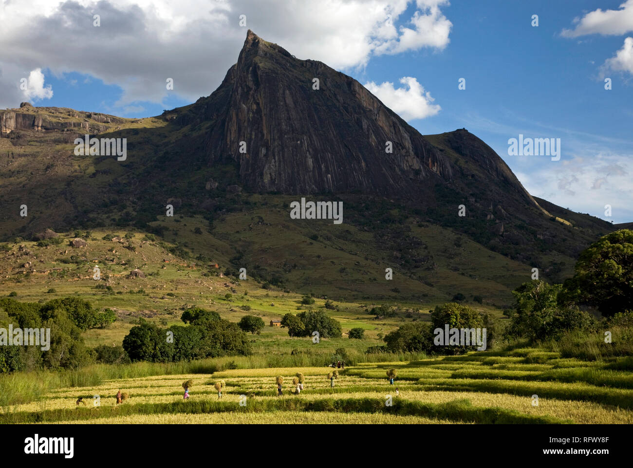 Lokale Dorfbewohner auf den Feldern arbeiten, massiv Tsaranoro, südliche Madagaskar, Afrika Stockfoto