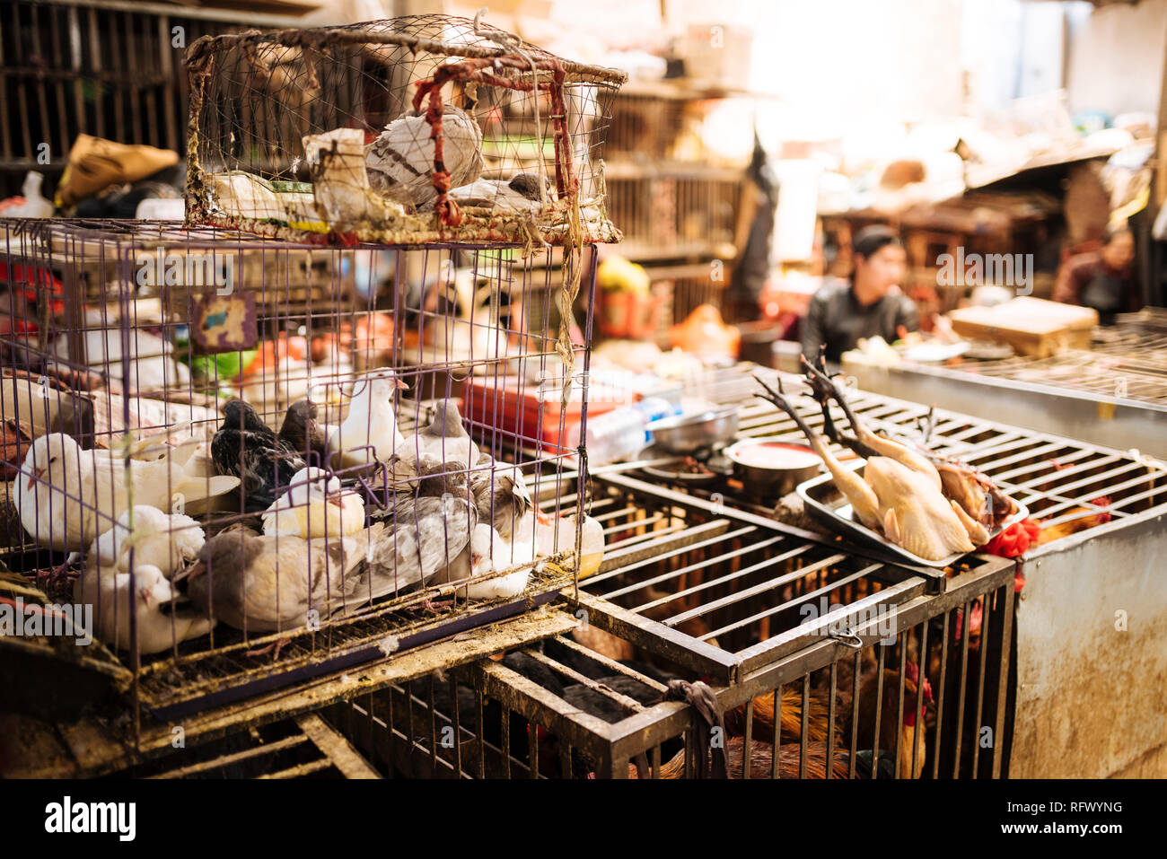 Zhongyi Markt, Lijiang, Yunnan, China, Asien Stockfoto