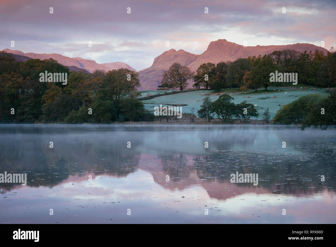 Langdale Pikes im Morgengrauen von loughrigg Tarn, Lake District National Park, UNESCO-Weltkulturerbe, Cumbria, England, Vereinigtes Königreich, Europa Stockfoto