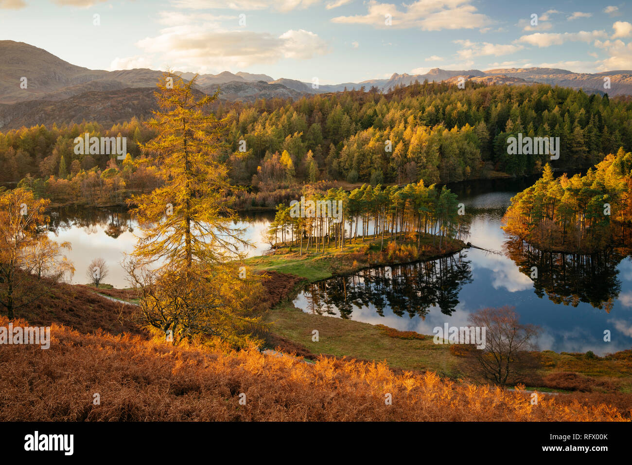Herbstnachmittag Licht am Tarn Hows, Lake District National Park, UNESCO-Weltkulturerbe, Cumbria, England, Vereinigtes Königreich, Europa Stockfoto