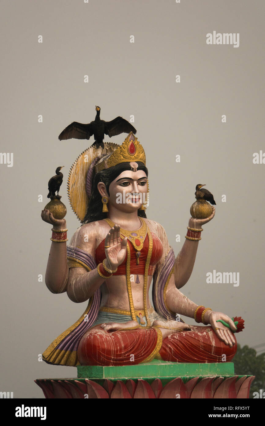 Indische Kormoran auf der hinduistischen Gottheit Skulptur auf dem Ganges Haridwar, Uttarakhand, Indien gehockt Stockfoto