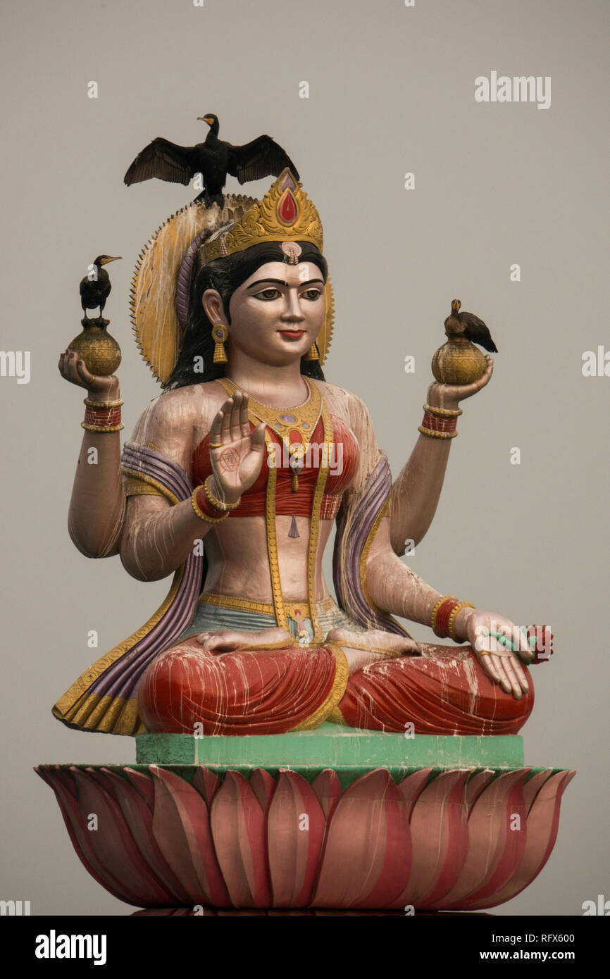 Indische Kormoran auf der hinduistischen Gottheit Skulptur auf dem Ganges Haridwar, Uttarakhand, Indien gehockt Stockfoto