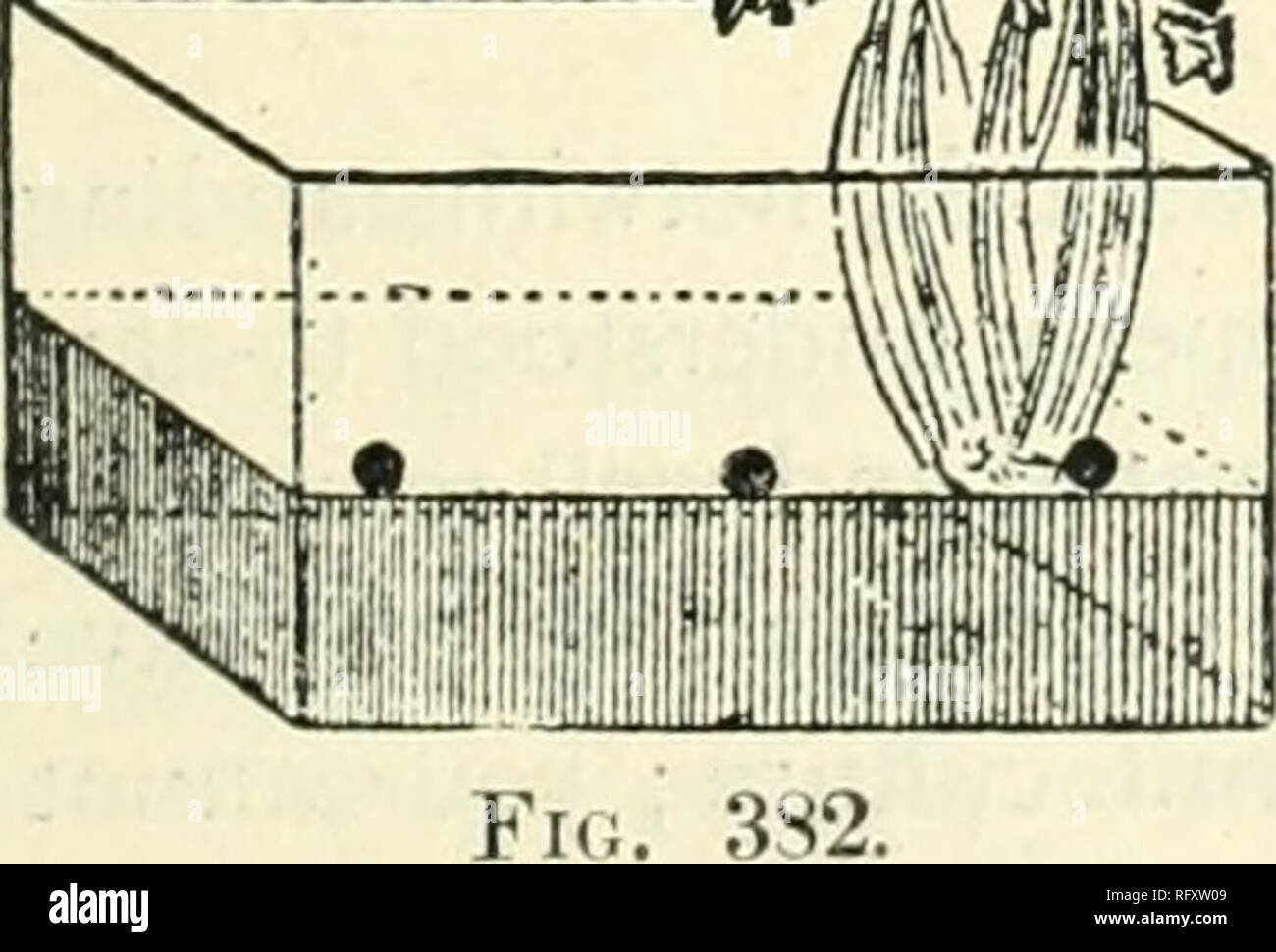 . Die kanadische Gärtner [monatlich], 1893. Gartenarbeit; Kanadische Zeitschriften. Die kanadische Gärtner. 341 In vielen Orten Hunderte von buschel Äpfel sind verschwendet, oder in Apfelwein zu niedrigen Preisen. Wahrscheinlich in solchen Fällen zwei oder drei Nachbarn könnte eine kostengünstige Geräte erhalten, und indem sie die Arbeit selbst, könnte über die bessere Qualität ihrer Beute zu Preisen zufriedenstellender als Cider Mill Preise, und zur gleichen Zeit auf den Markt gebracht werden, ein Artikel von Essen viel besser als die Alte getrocknete Apfel; aber jedermann erwarten zu 15 $ Gewinn auf eine Ausgabe von 25 $, Doo. Stockfoto