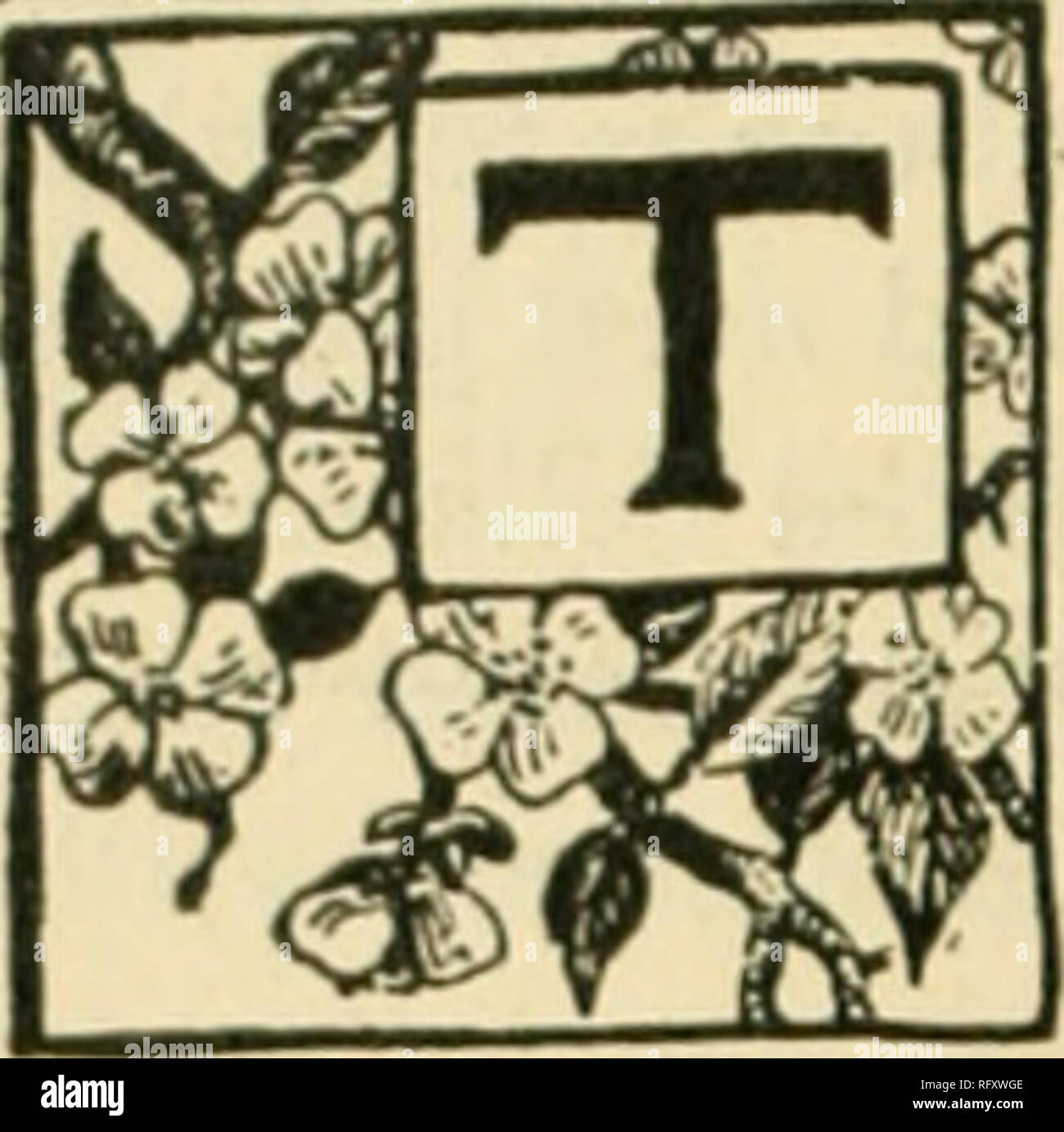 . Die kanadische Gärtner [monatlich], 1892. Gartenarbeit; Kanadische Zeitschriften. Thk kanadischen Hoktk ui.TURisr. IIARDN KIRSCHEN.. Er ursprüngliche Heimat der Kirsche ist in Asien. Ihe Römer arc mit zu Italien gutgeschrieben, und von dort nach England. Unsere kultivierten Sorten, die aus zwei ursprünglichen Formen entstanden, die eine hoch wachsende, jetzt sprießen {Pruiius a-", Ium) Bird Cherry, die anderen mehr Strauchigen, Und kotzte Sauger oder Sprossen. Die erste von diesen ist die Muttergesellschaft der schwarzen und weißen Sorten, die mehr oder weniger süß, wie Herzen und Bigarreaus bekannt. Die zweite ist die Muttergesellschaft der roten Kirschen, m Stockfoto