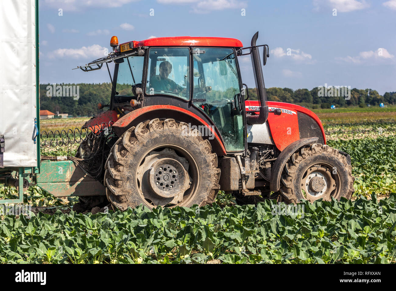 Traktor Zetor arbeitet auf dem Bauernhof, saisonale Arbeit, tschechische Landwirtschaft Landwirt Traktorfeld Stockfoto