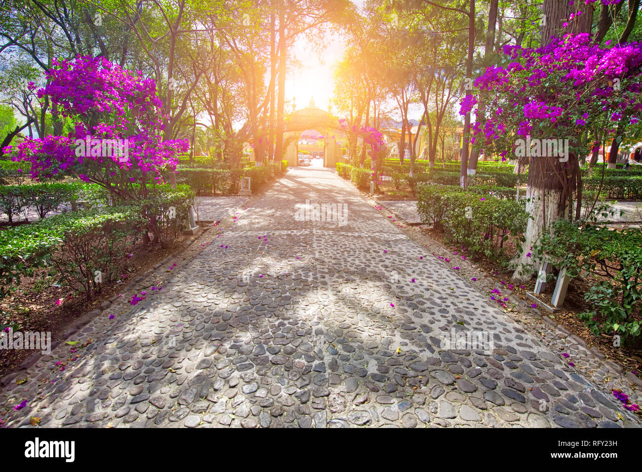 Atrium von Oliven (Atrio de los Olivos) Park vor Francisco Javier Kirche in Cuautitlan Izcalli Stockfoto